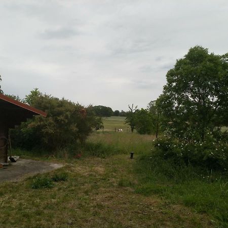 New Home Langendorf  Exterior foto